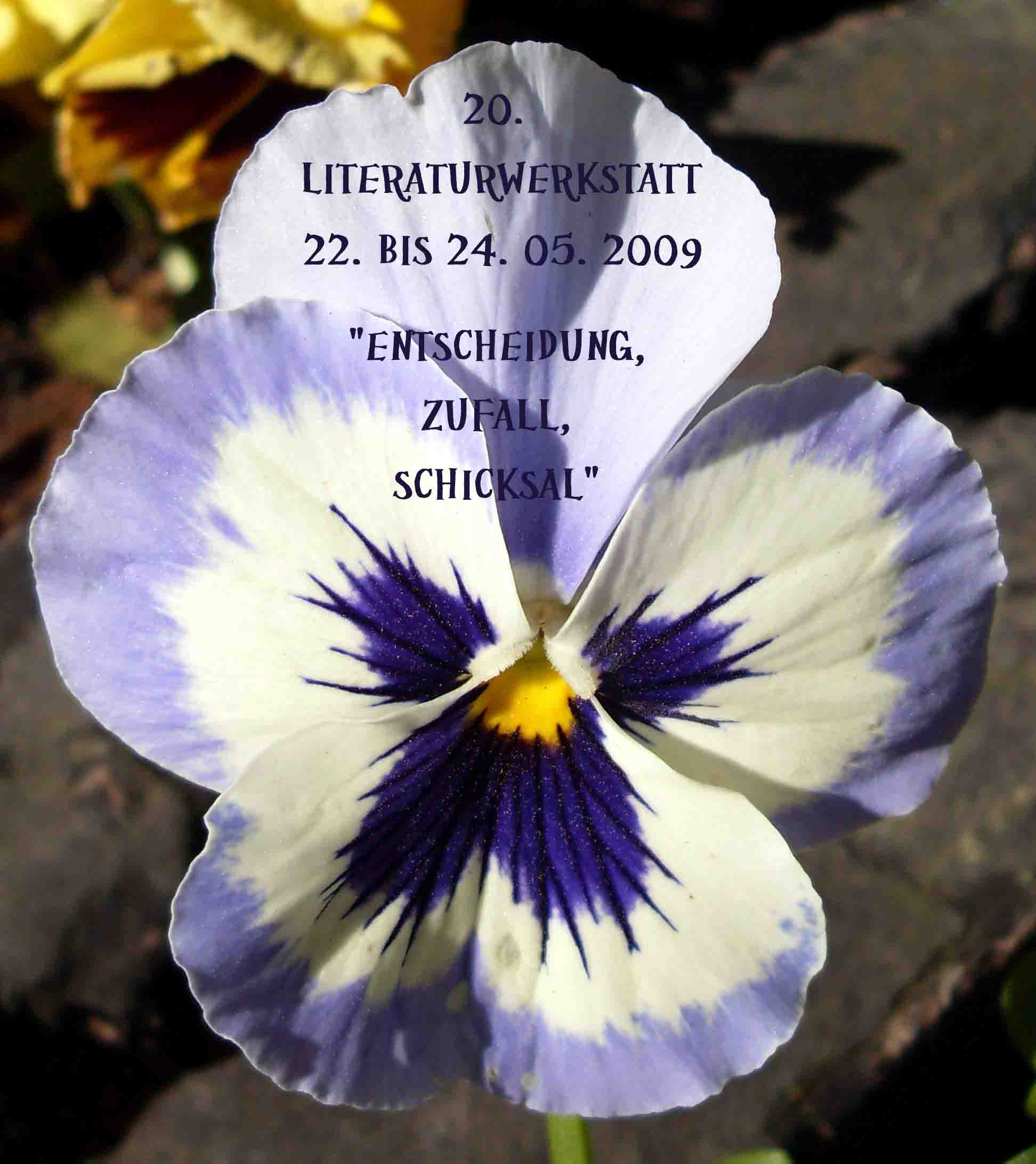 Werkstatttage 2009 – Gruppenarbeit